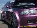 8e Meeting Tuning Sud-Ouest-250.gif
