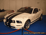 Essen Motor Show 2004-002.gif