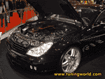 Essen Motor Show 2004-043.gif