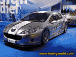Essen Motor Show 2004-454.gif