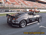 VI Maxi Tuning Show-535.gif