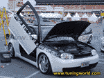 VI Maxi Tuning Show-590.gif