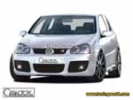 Caractere-Volkswagen Golf V-caractere_golfv_01_0.jpg