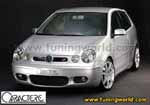 Caractere-Volkswagen Polo-caractere_polo02_01_0.jpg