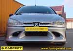 Carcept-Peugeot 206-carcept_206_01_0.jpg