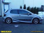 Carzone-Peugeot 307-carzone_307_03_0.jpg