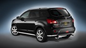 Cobra-Cobra - Qashqai-cobra-qashqai-p6.jpg